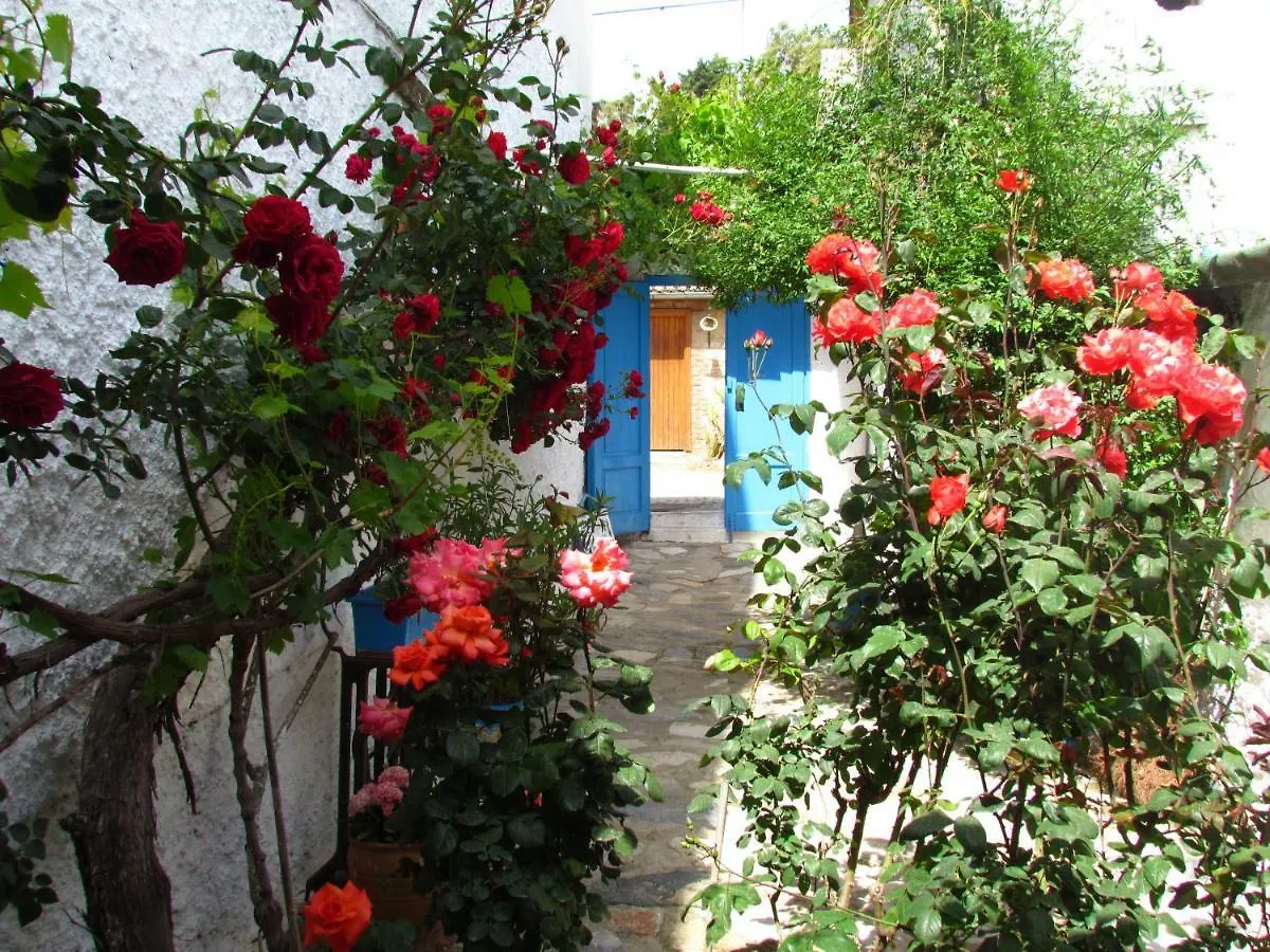 Amazon Antique Guest House Selcuk 3*,  Turkey