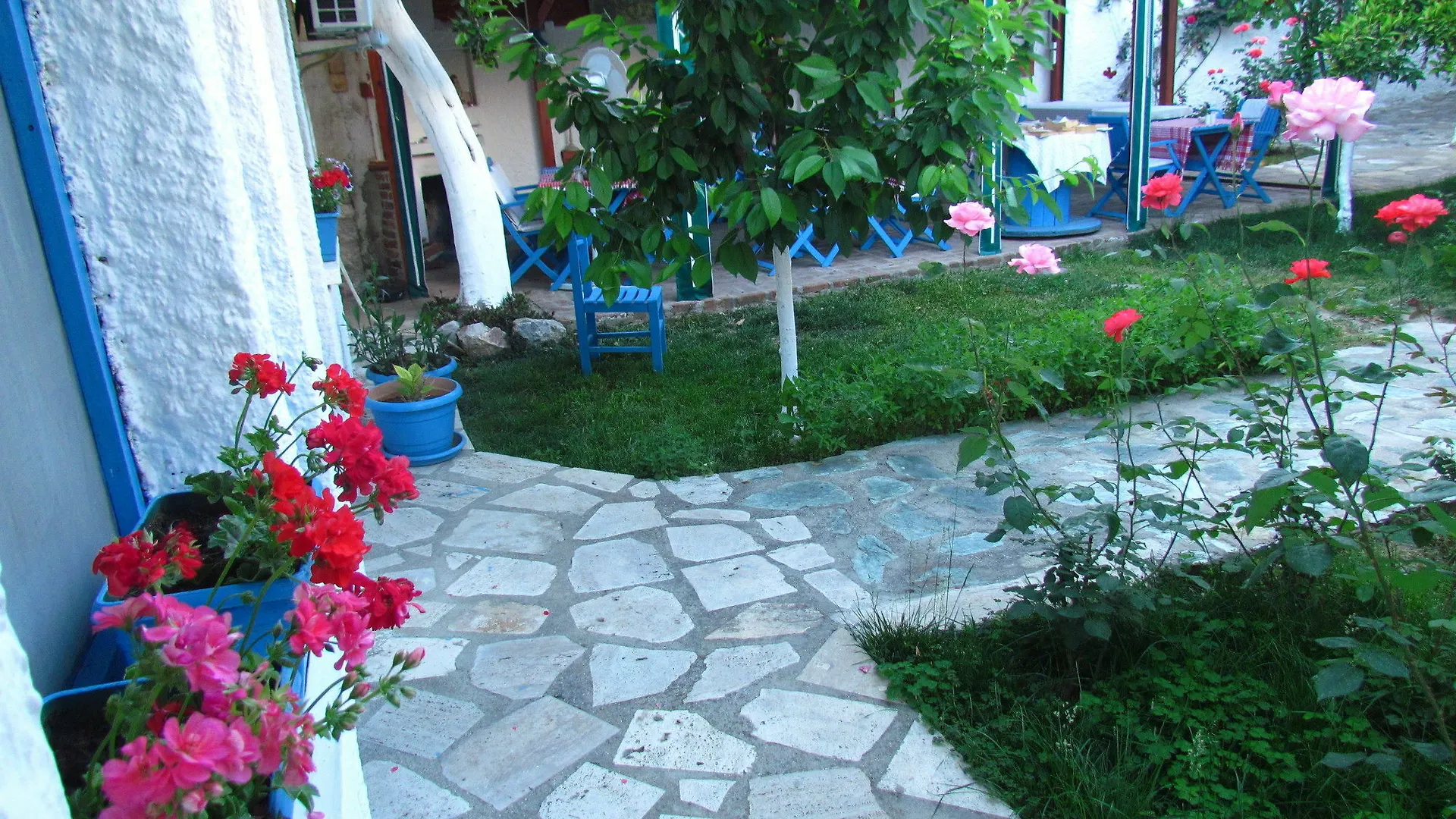 Amazon Antique Guest House Selcuk